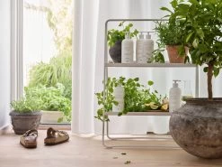 Zone Denmark Botanical Scents Handseife Ginger Gain -Haushaltsgegenstände Verkäufe 23945 2201 env 1 high